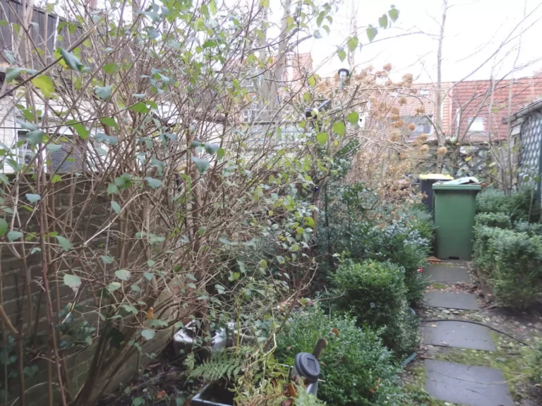 Gartenansicht