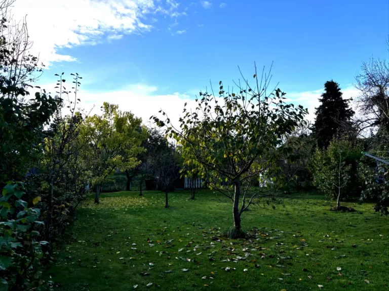 Gartenansicht