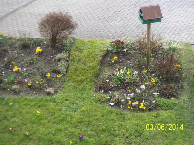 Blick auf Garten