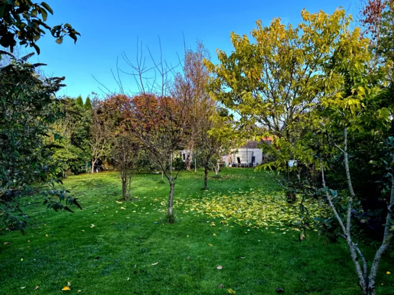 Gartenansicht